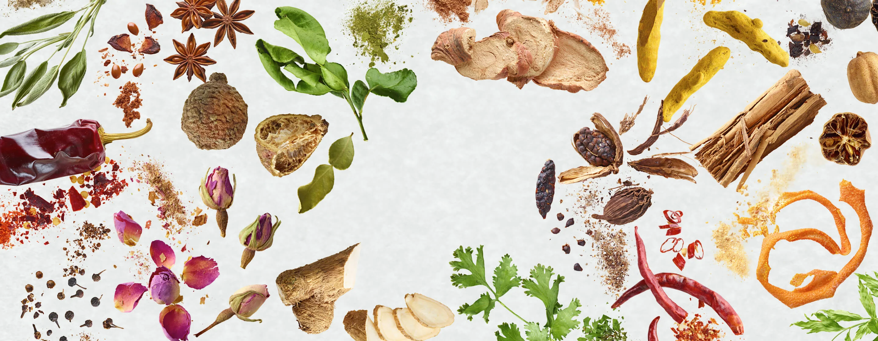 Master the Art of Flavor